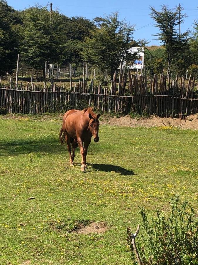 Cabanas Rio Quemille Huillinco Eksteriør bilde